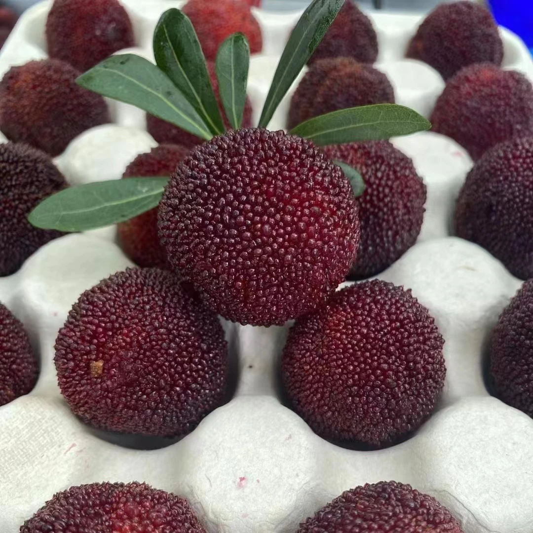 顺丰次日达 浙江仙居东魁杨梅6斤装