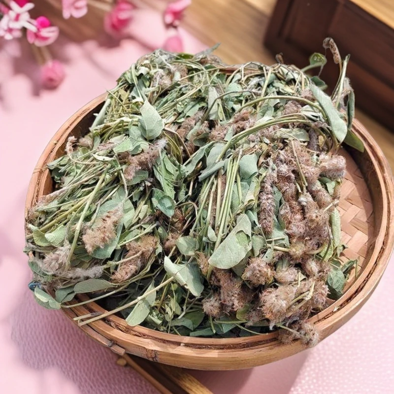 广西狸尾草 正宗野生羊咩香 新鲜晒干狐狸尾巴草煲汤叶菜半斤-1斤