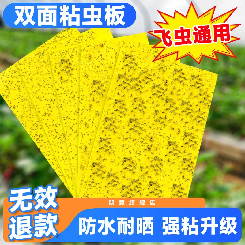 粘虫板家用黄板双面粘虫板小飞虫粘板小黑飞诱虫板大棚果蝇诱捕器