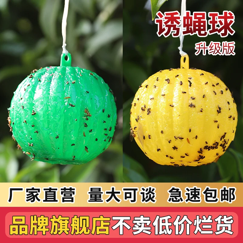 诱蝇球柑橘大实蝇诱捕球瓜果实蝇粘虫球针蜂果蝇诱虫球针蜂引诱剂
