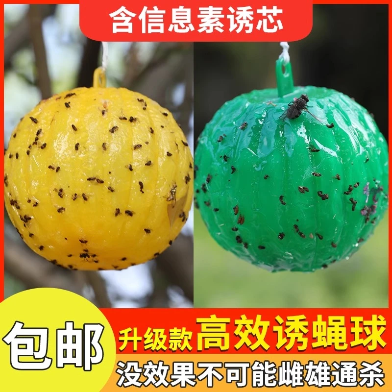 果蝇诱捕器去室内小飞虫灭杀神器克星蚊蠓虫厨房水果店诱粘苍蝇球