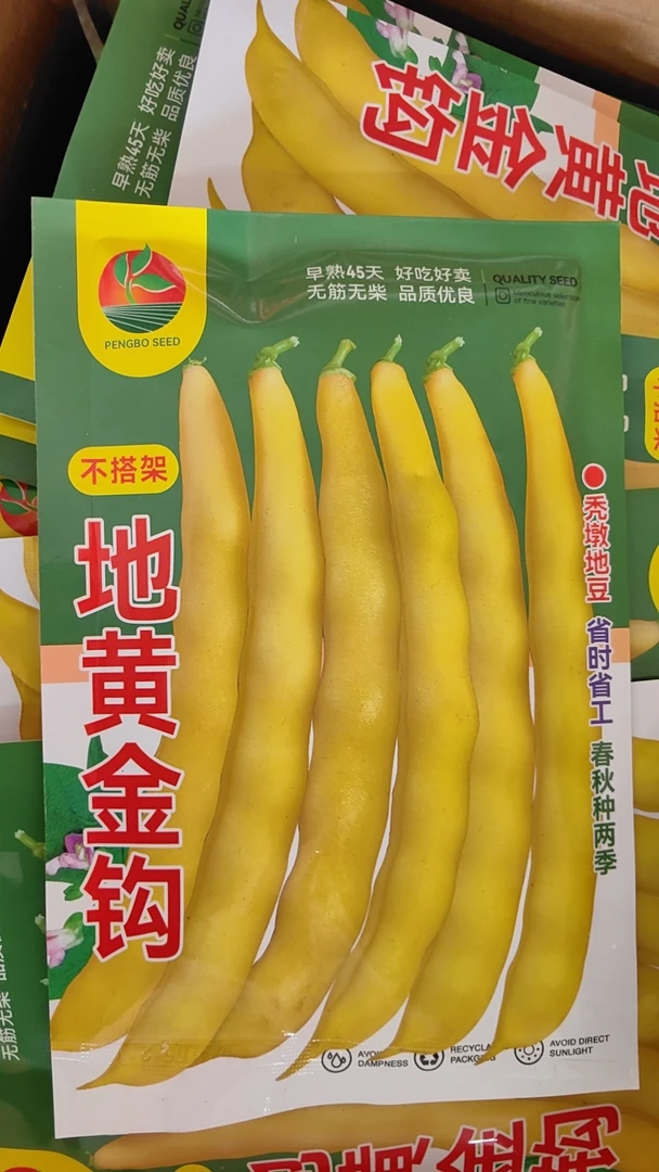 地黄金钩豆角种子