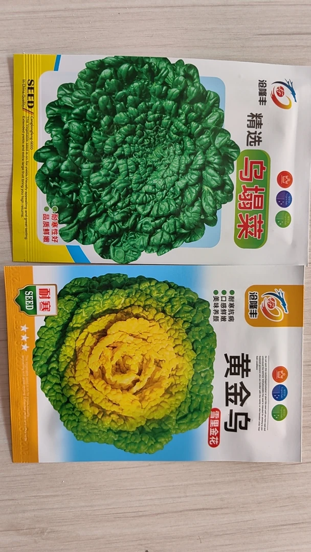 乌塌菜，黄+绿