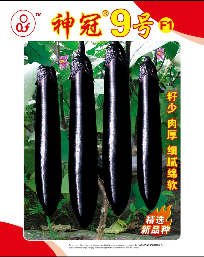 神冠九号茄子种子