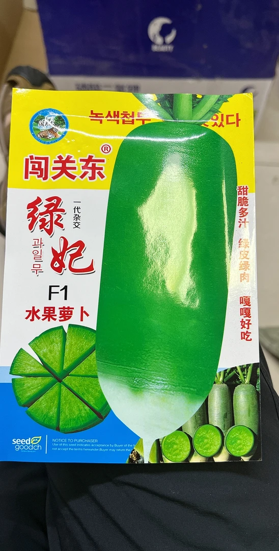 绿妃水果萝卜种子