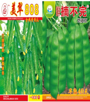 808+摘不完+小菜
