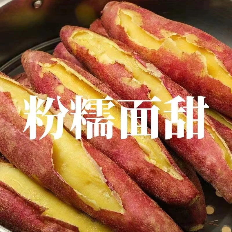 陕西板栗红薯5斤9斤甜糯干面红芋番薯新农产品板栗薯新鲜细长地瓜