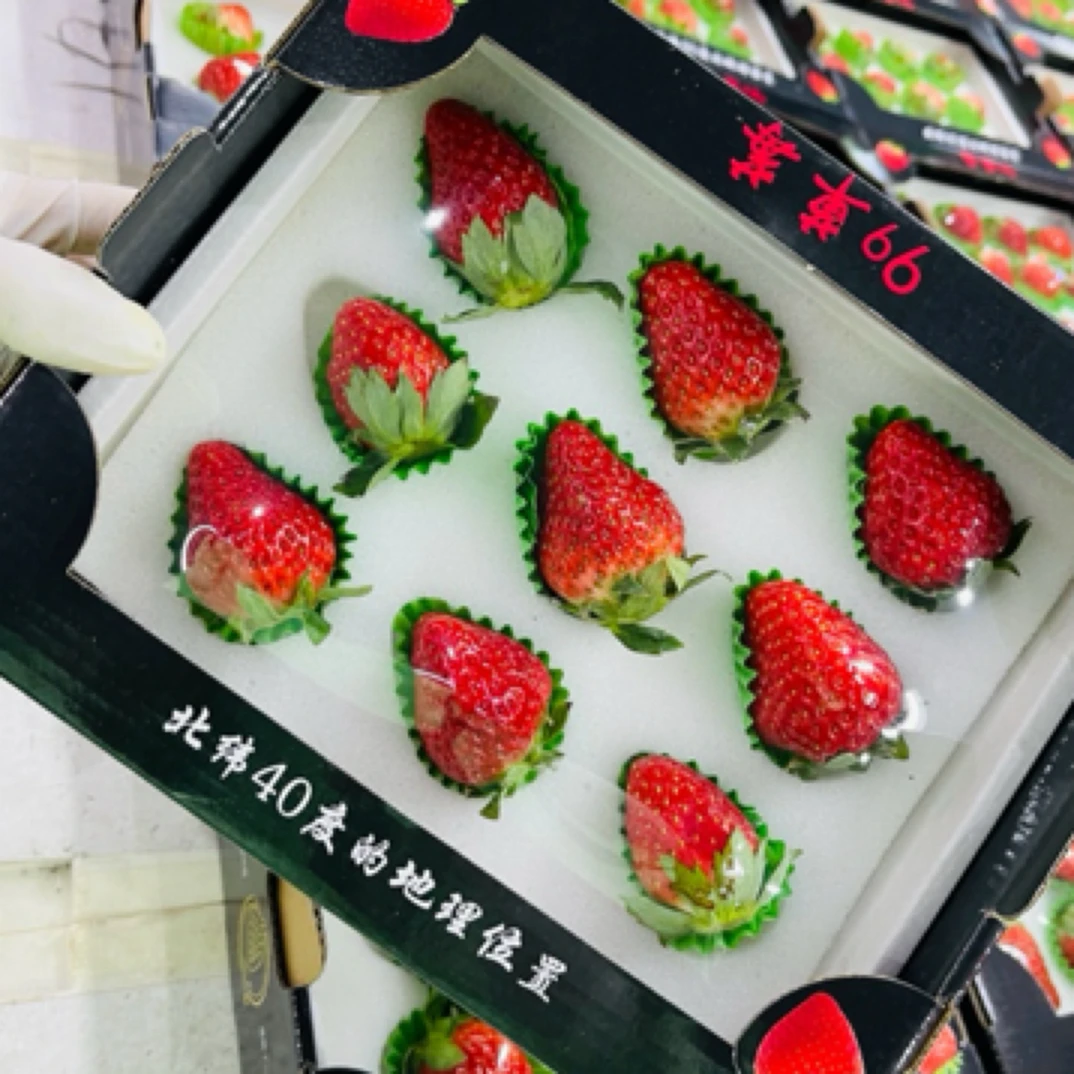 （福利拍三送一）纯丹东久久草莓净约4两（黑盒）轻微摩擦正常现象