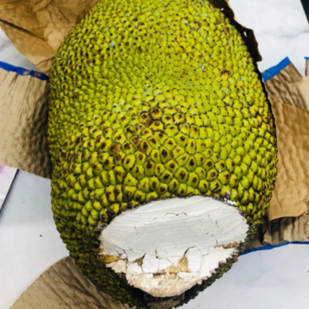 超甜黄肉菠萝蜜6-8斤（禁忌生劈，按原有口切开颜色浅常温2-3天）