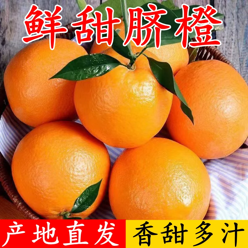橙子当季水果湖北宜昌多汁脐橙新鲜冰糖甜橙大柑橘饱满皮薄好吃
