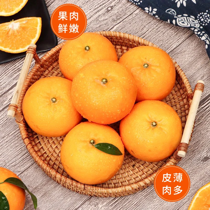 云南高山沃柑5斤新鲜采摘当季柑橘子产地直发T3