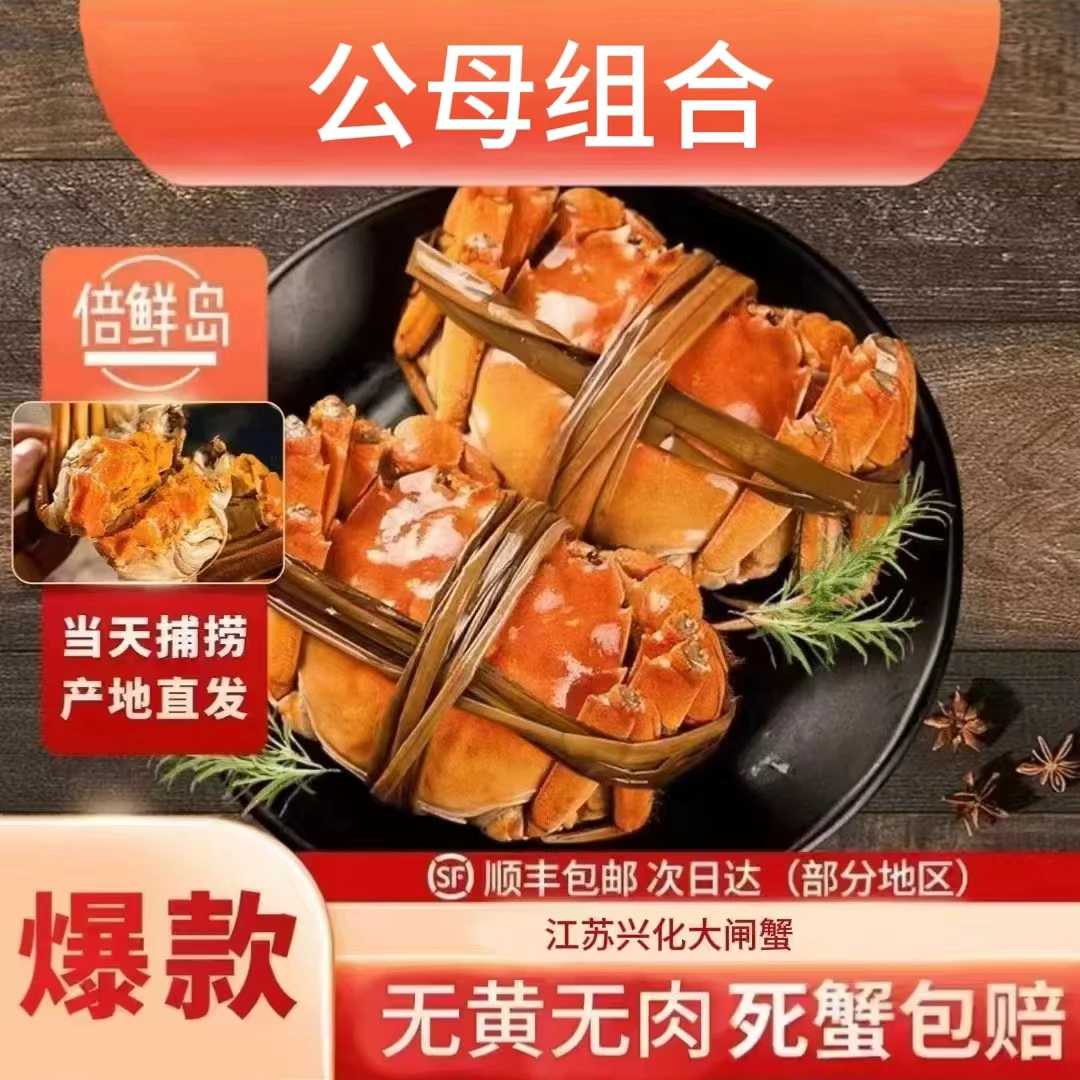 【精品活蟹】公蟹4.2-4.5两4只/母蟹3.7-4.0两4只兴化大闸蟹