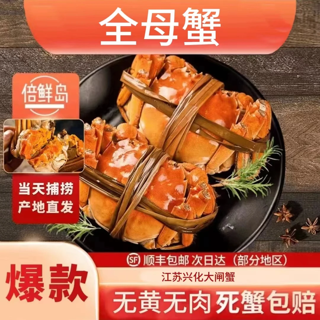 【年夜饭精品活蟹】母蟹2.7-3两8只装江苏兴化大闸蟹鲜活包邮