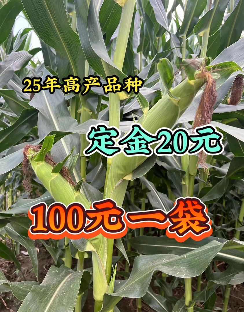 绿植，（高产品种）