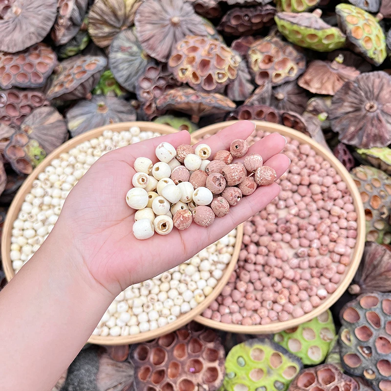 2025年正宗农家磨皮白莲无硫无漂去芯红莲