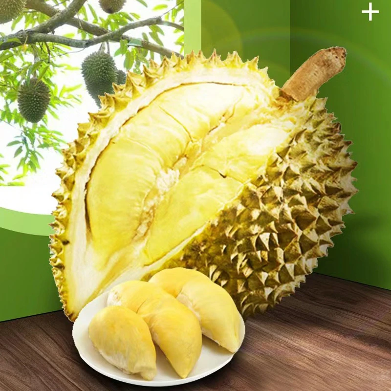 泰国特级老树榴莲 5斤-5.5斤