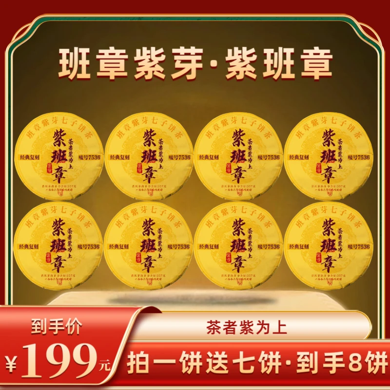1996年原料班章紫芽-紫班章普洱熟茶  2022年压制   357克*8饼