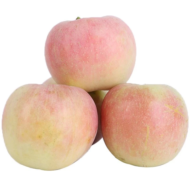 新鲜苹果 脆甜可口苹果