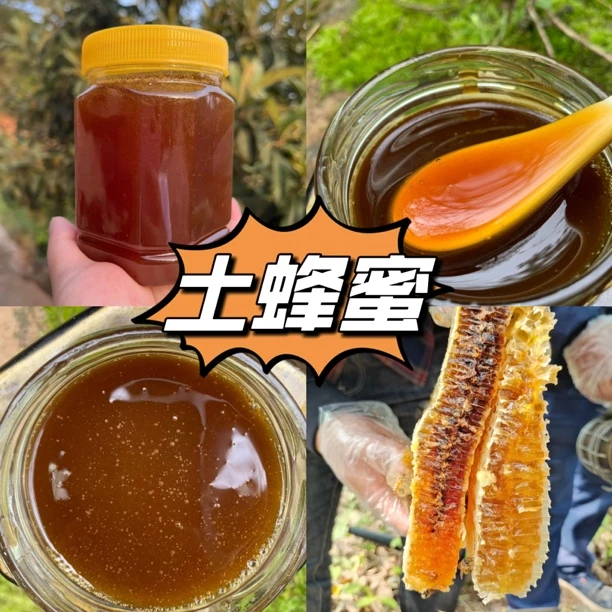 【阿林】湖南湘西土货土蜂蜜
