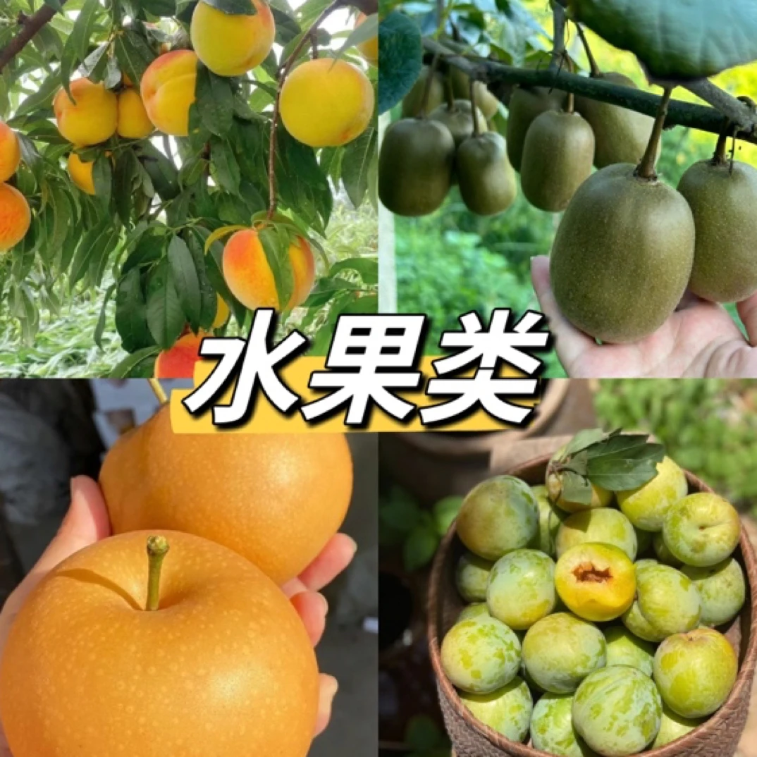 【阿林赶集水果类】现称现卖湘西山货