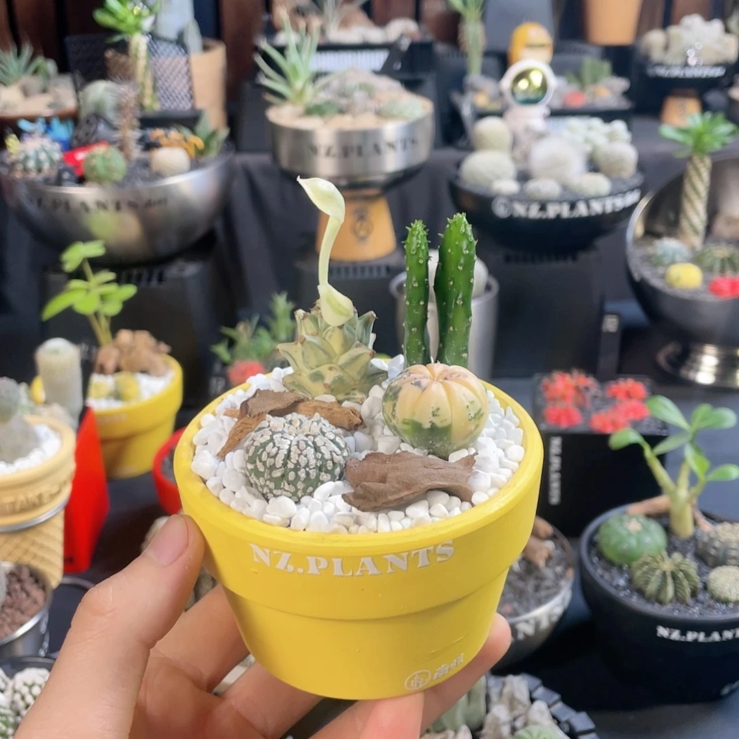 【闪购商品】锦*定制