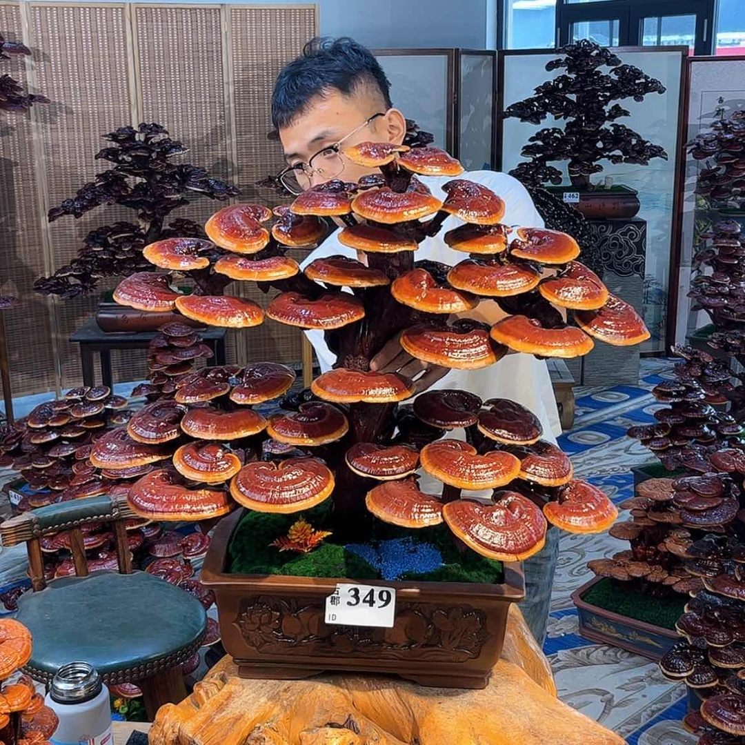 【闪购商品】88888