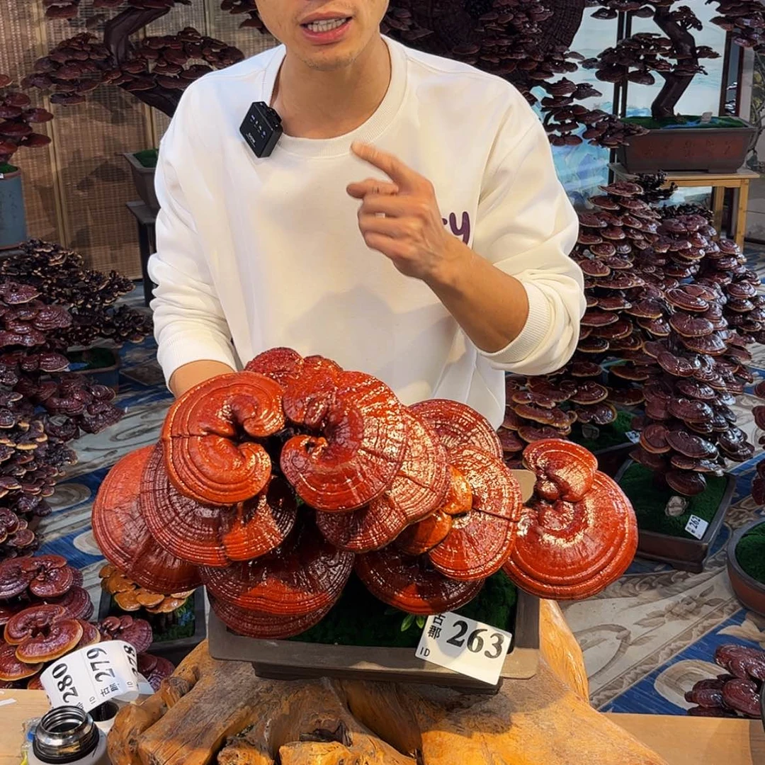 【闪购商品】888888