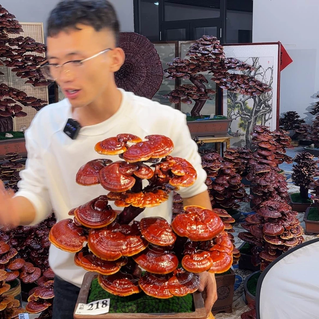 【闪购商品】588858855