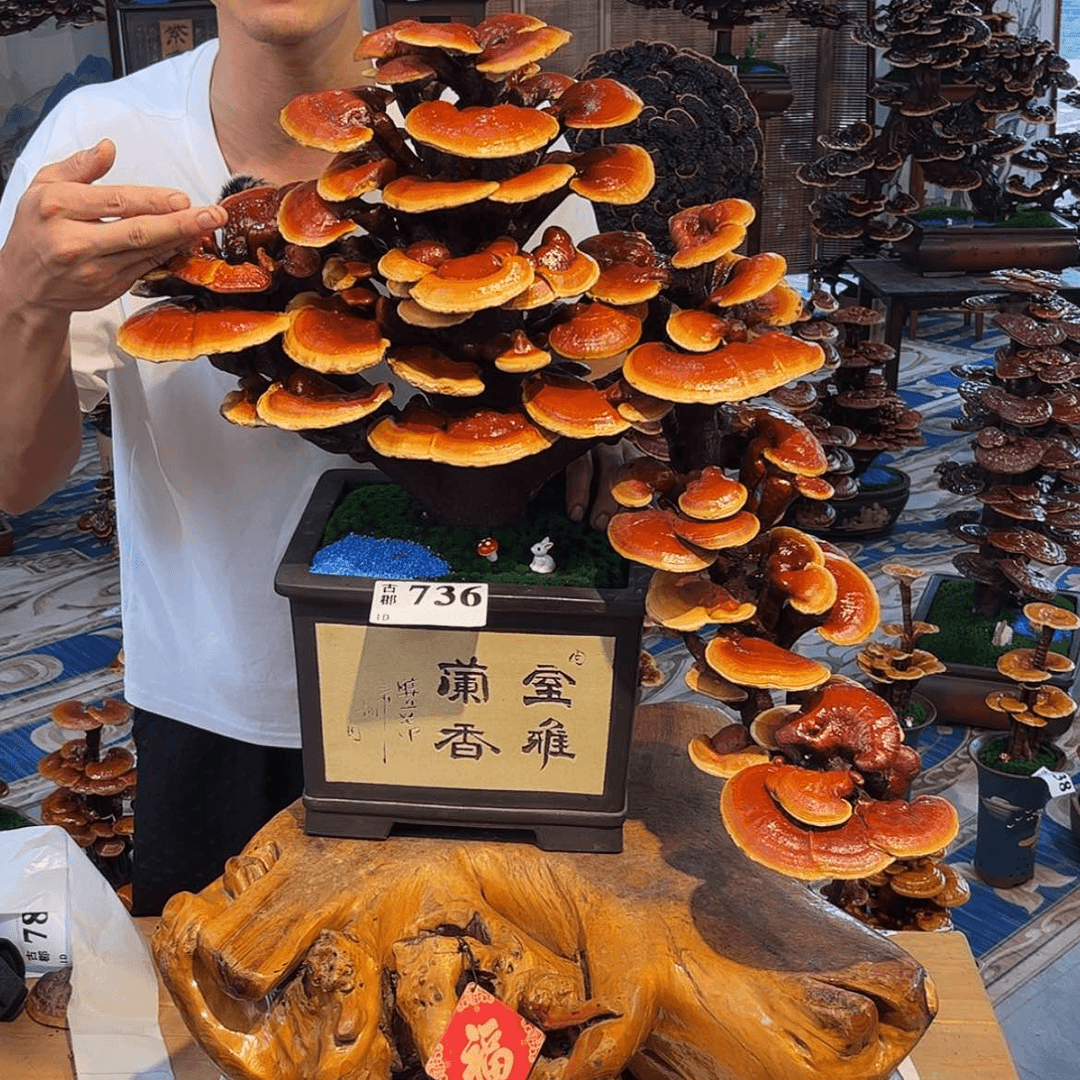 【闪购商品】88888