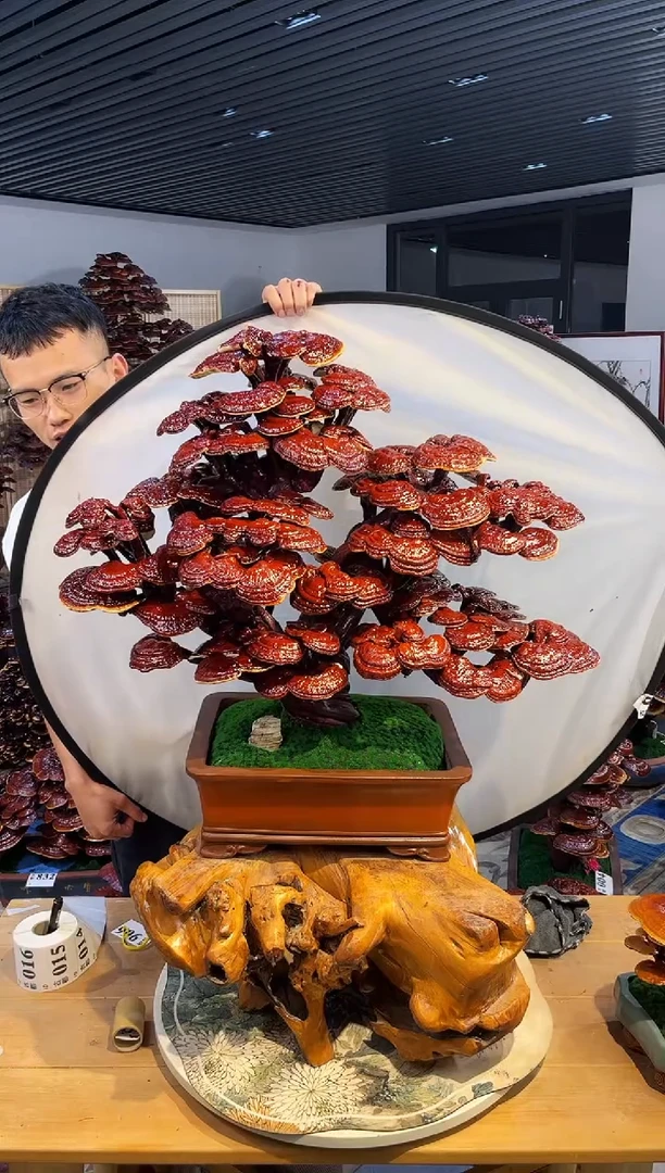 【闪购商品】888888