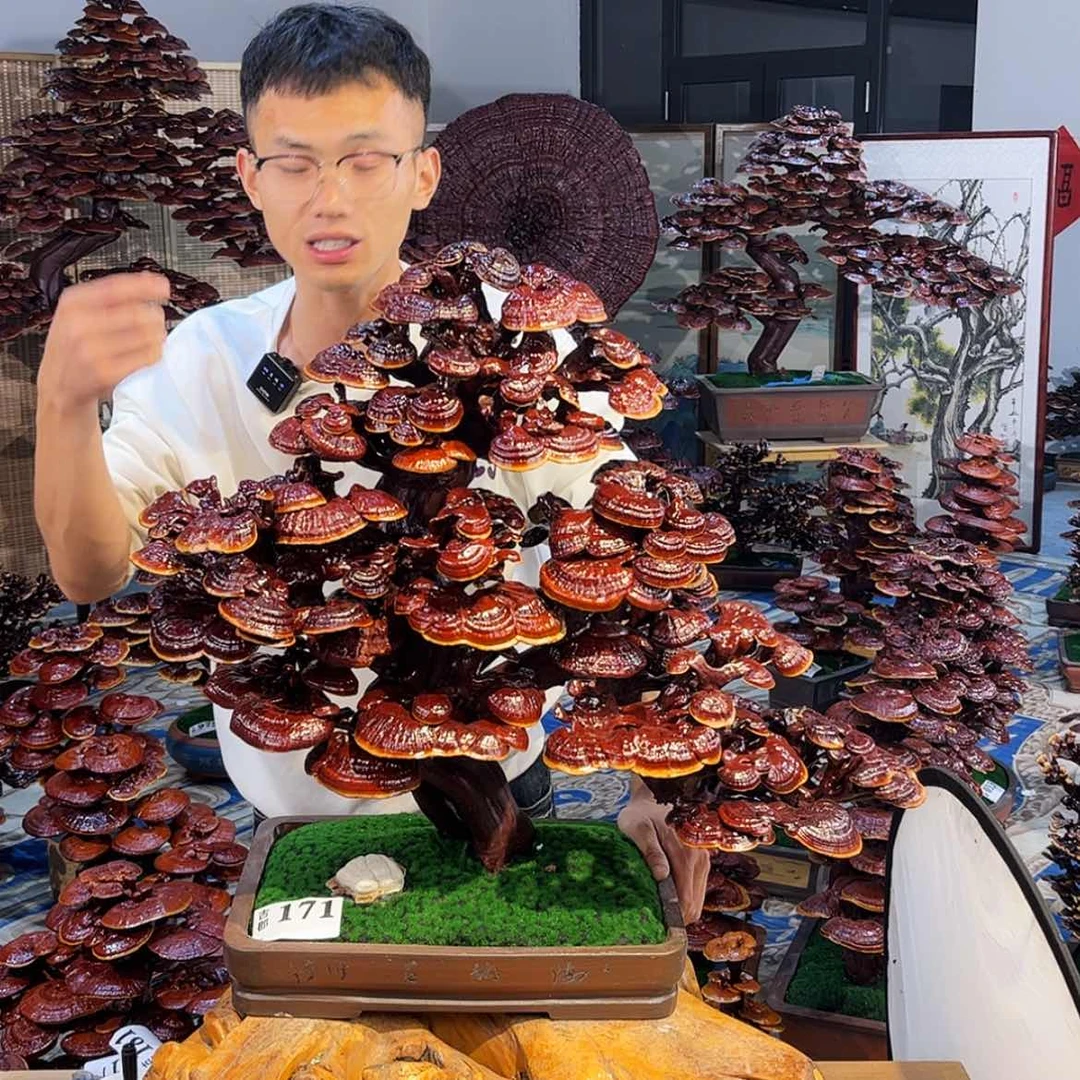 【闪购商品】88888