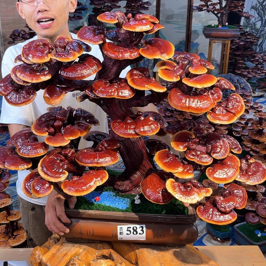 【闪购商品】?*?58888