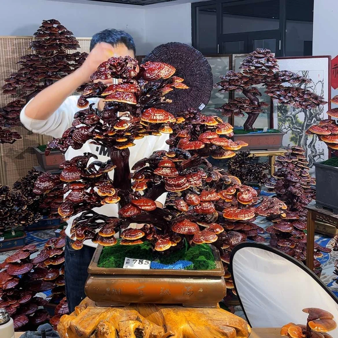 【闪购商品】88888