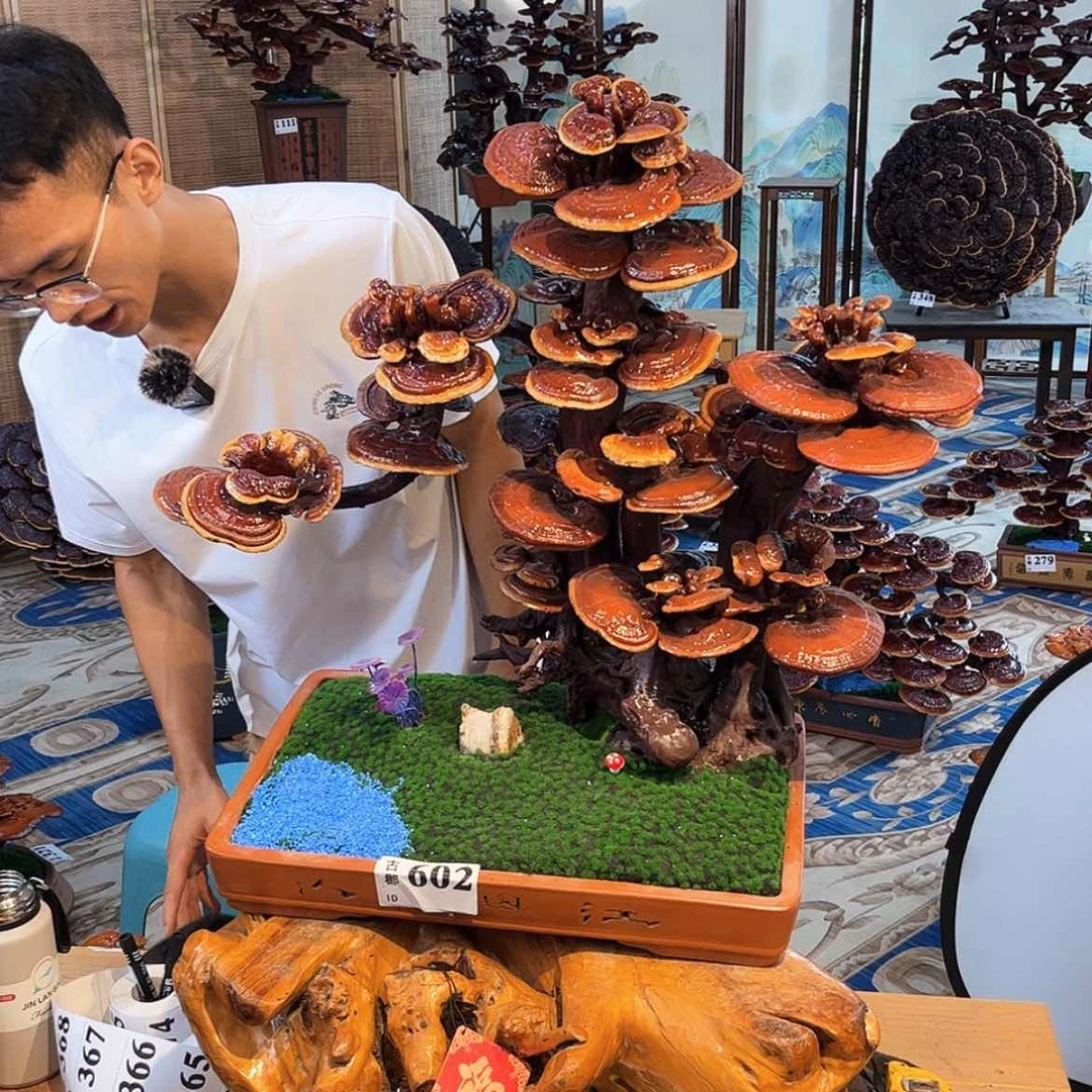 【闪购商品】88888