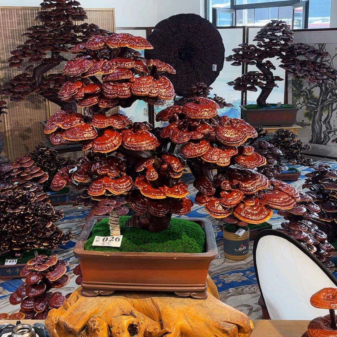 【闪购商品】88888