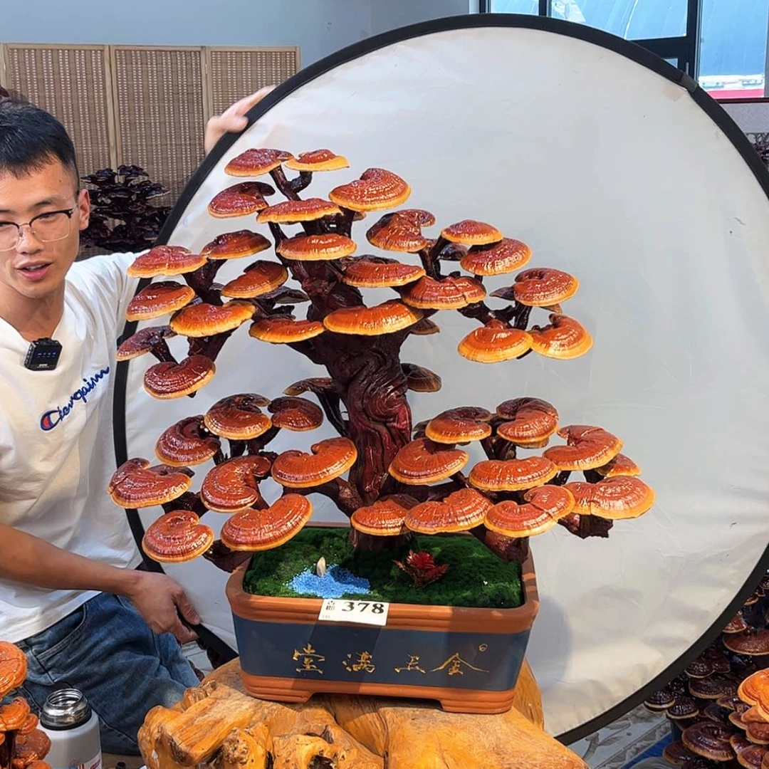 【闪购商品】88888