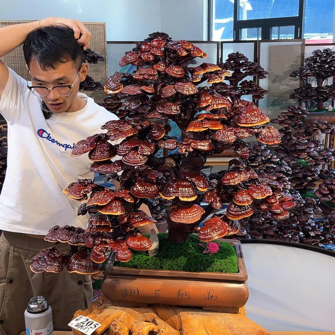 【闪购商品】H****I888888