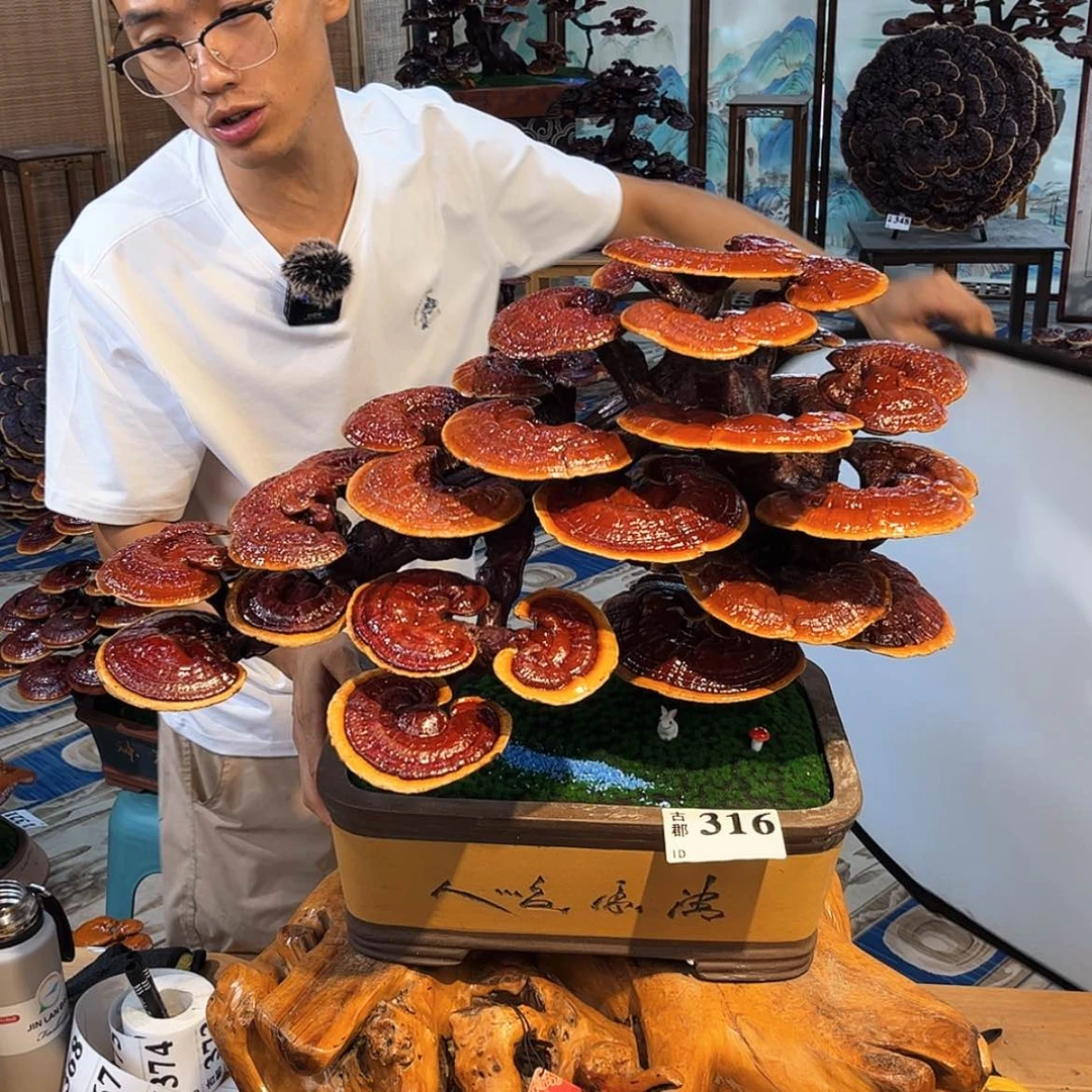 【闪购商品】58888