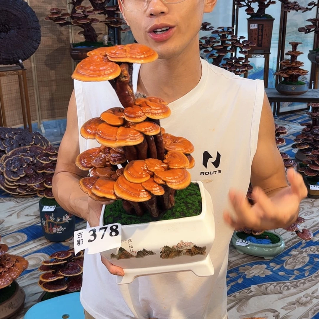 【闪购商品】888888