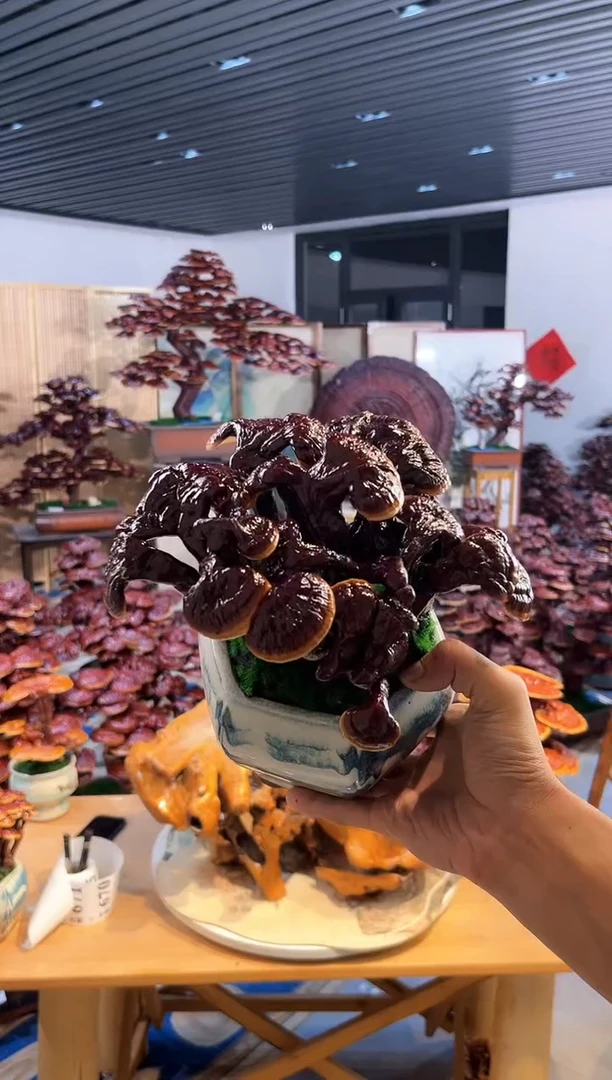 【闪购商品】11111