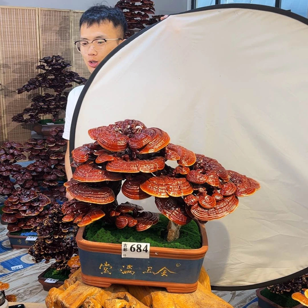 【闪购商品】88888