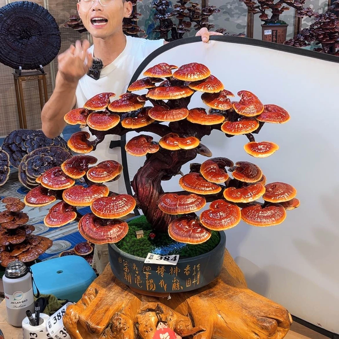 【闪购商品】88888