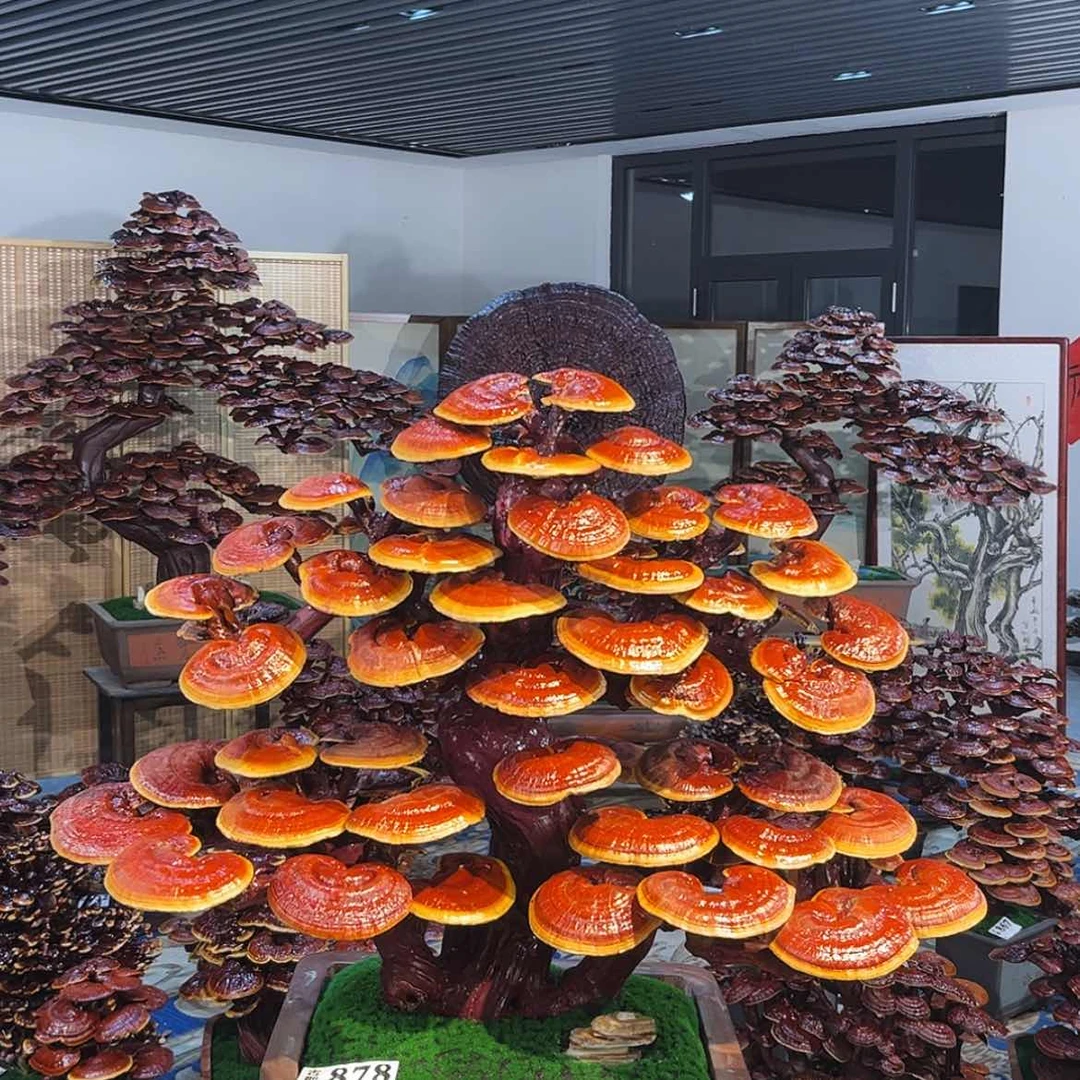 【闪购商品】未**记8888888