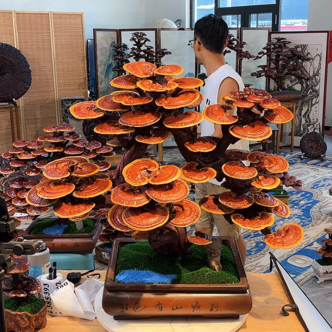 【闪购商品】88888