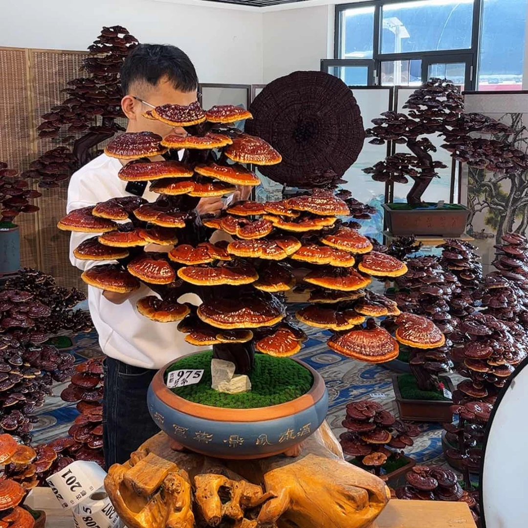 【闪购商品】是**！88888