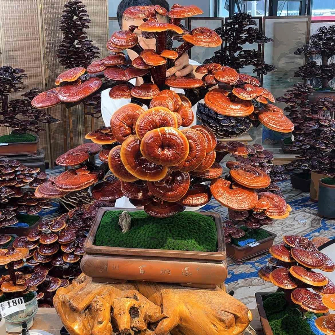 【闪购商品】88888