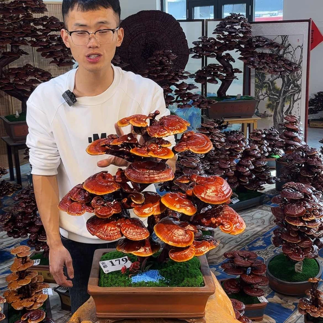 【闪购商品】8985988998