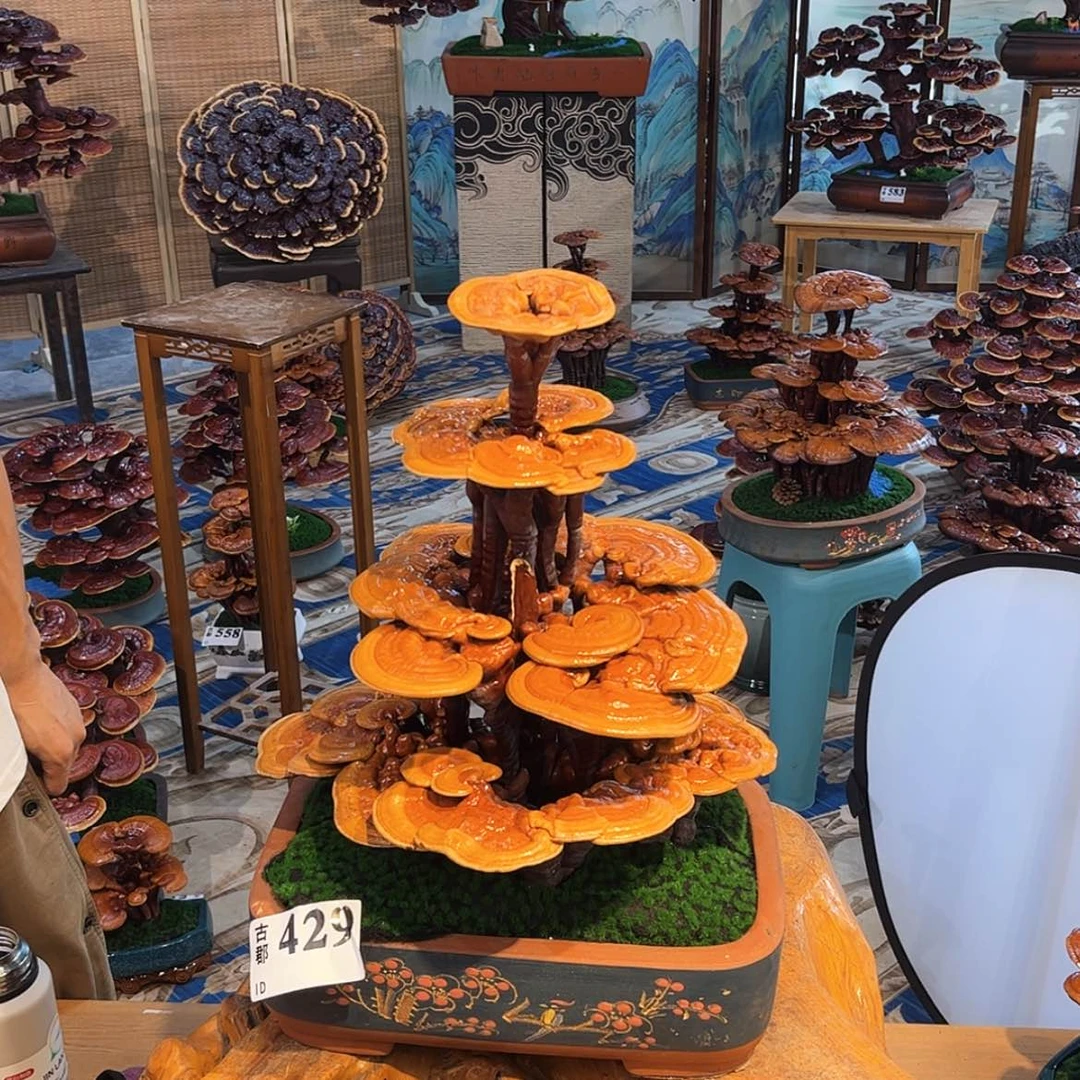 【闪购商品】88888