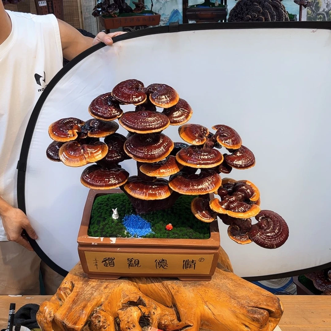 【闪购商品】888888