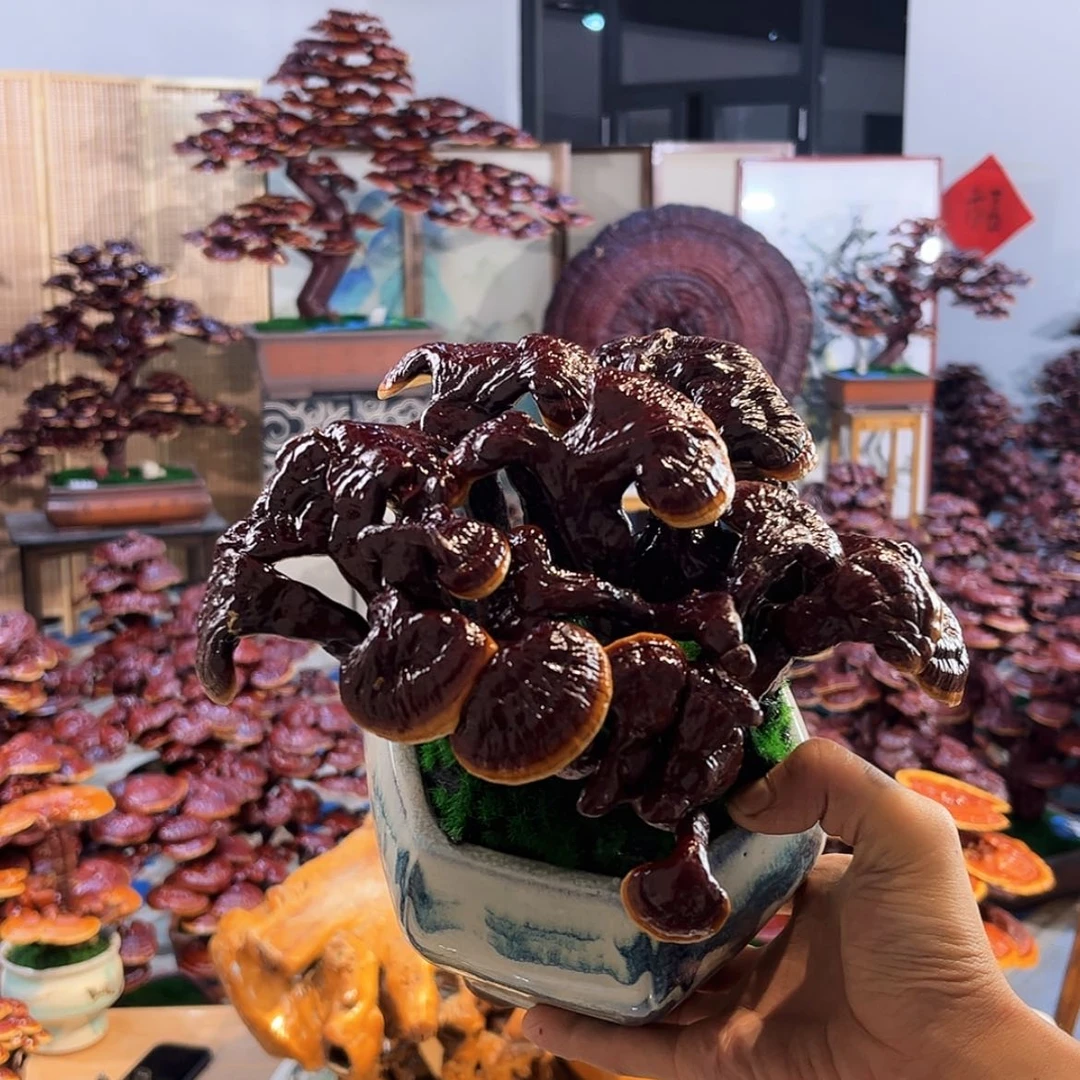 【闪购商品】88888